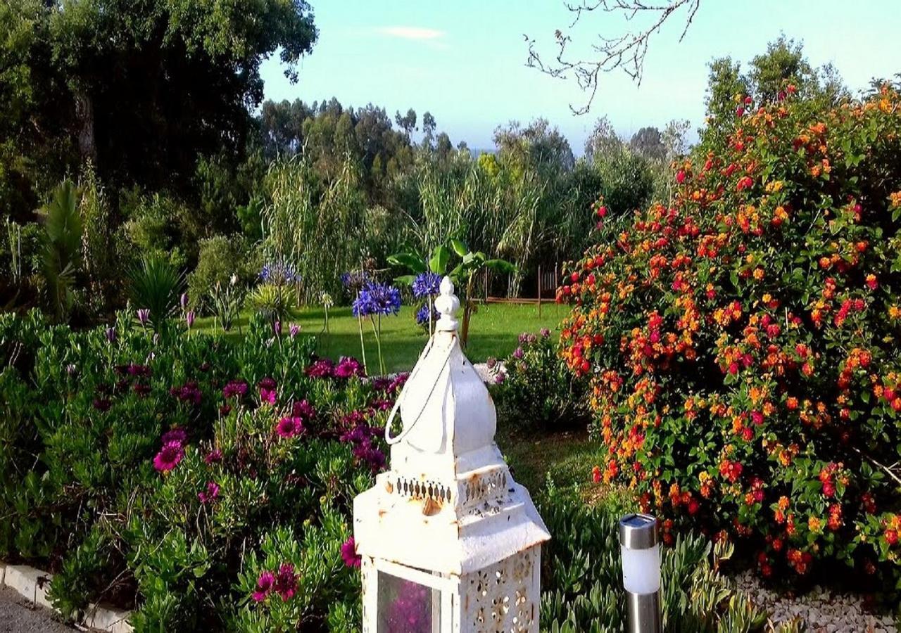Serra das AlhadasCasa Do Sobreiro 2住宿加早餐旅馆 外观 照片